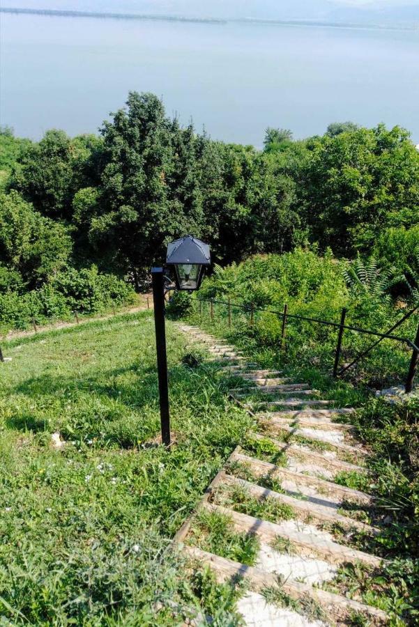 Carobni Breg Villa Голубац Екстериор снимка