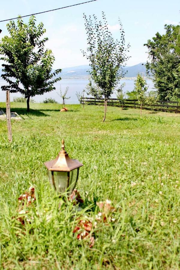 Carobni Breg Villa Голубац Екстериор снимка